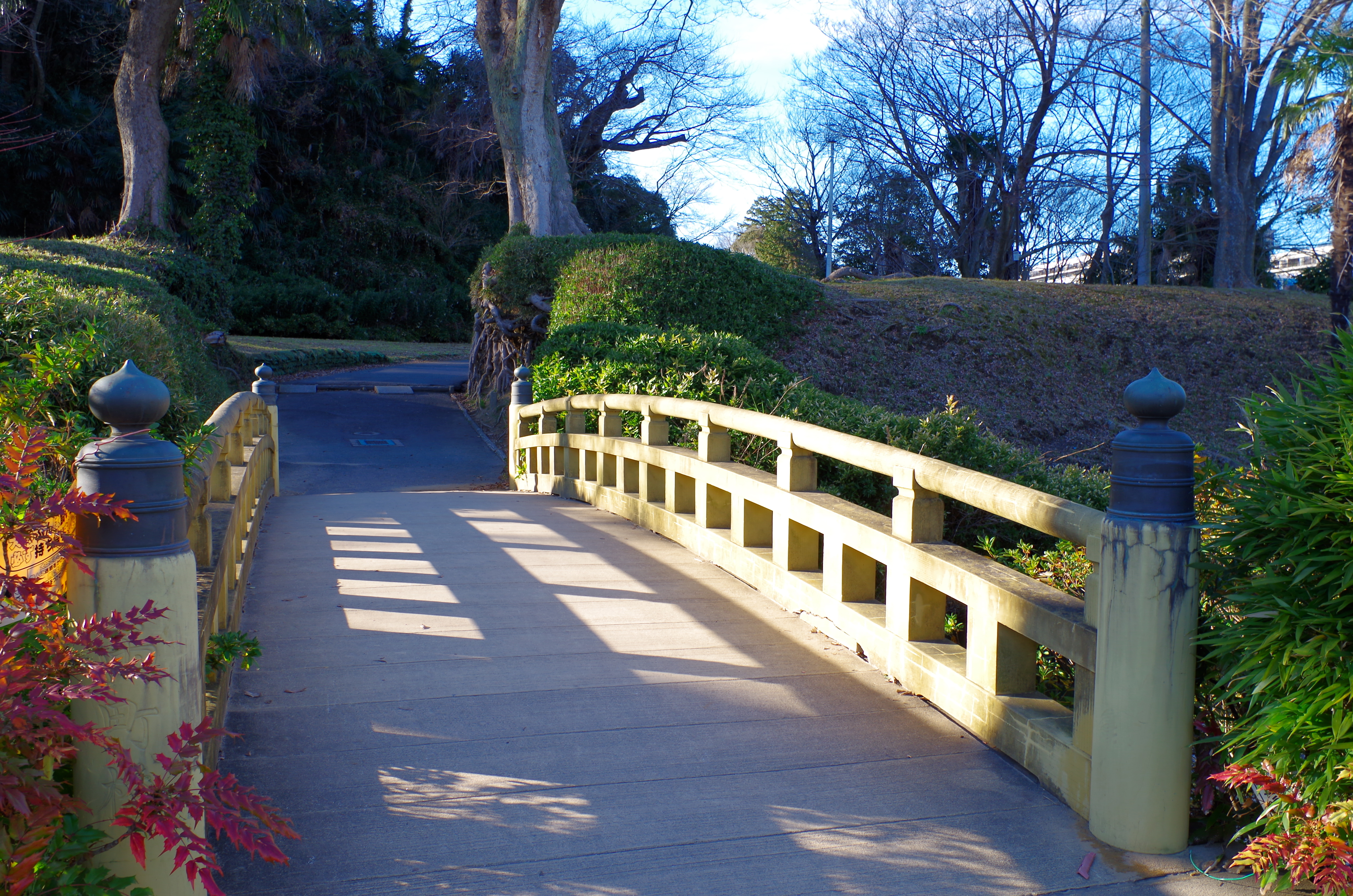 佐倉城址公園 Wikipedia