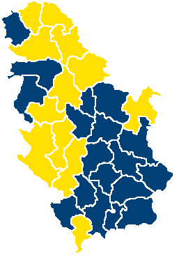 <span class="mw-page-title-main">2008 Serbian presidential election</span>