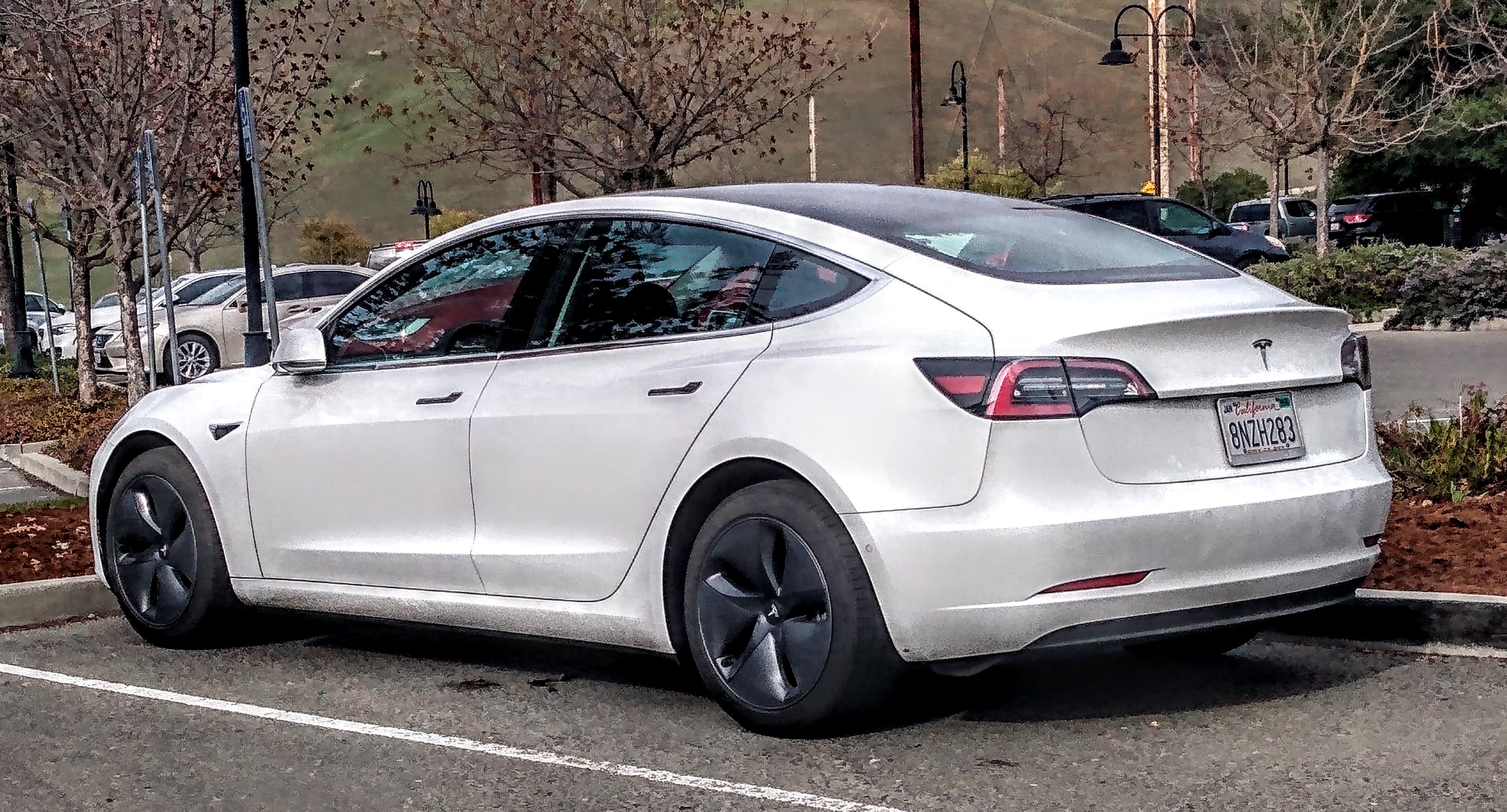 2020 Tesla Model 3 Pictures