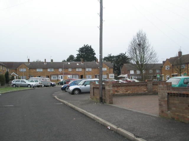 File:Bend in Ibsley Grove - geograph.org.uk - 1147878.jpg