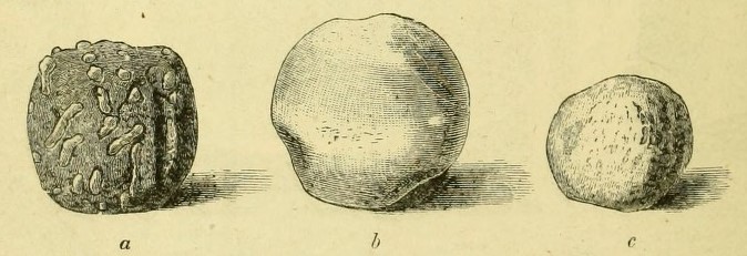 File:Brain Balls and other balls from Irish tombs.jpg