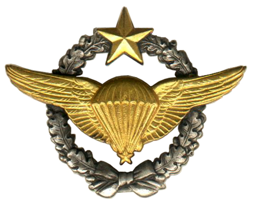 Insigne brevet expérimentateur Brevet_parachutiste_d%27essai