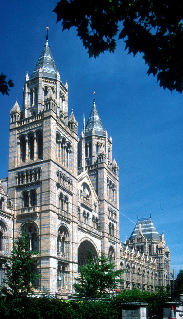 Le Muséum britannique d’histoire naturelle (The British Natural History Museum) à Londres (Royaume-Uni). (définition réelle 589 × 1 025*)