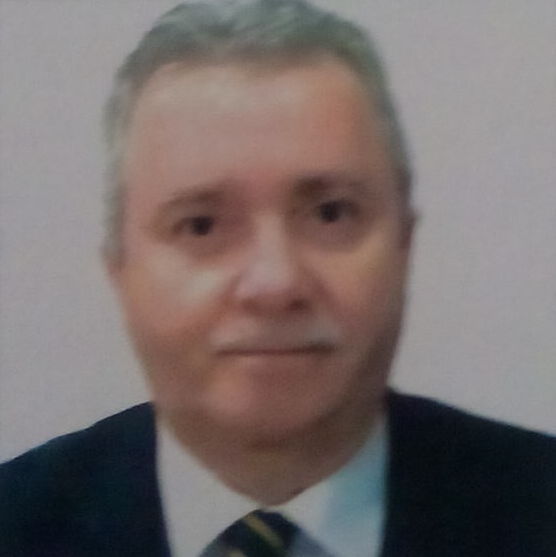 File:Bulletin de vote de Ali Faouzi Rebaïne 2014 (cropped).jpg