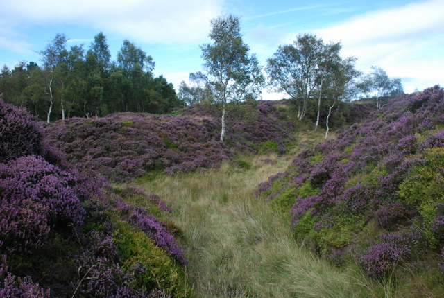 Disused quarry on the edge of Longshaw Estate - geograph.org.uk - 558852
