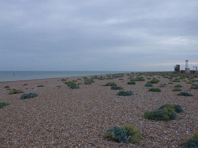 File:Dungeness beach, Kent - geograph.org.uk - 1424011.jpg