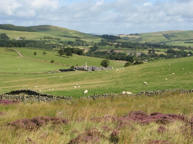 Farmland near Peebles - geograph.org.uk - 1458488