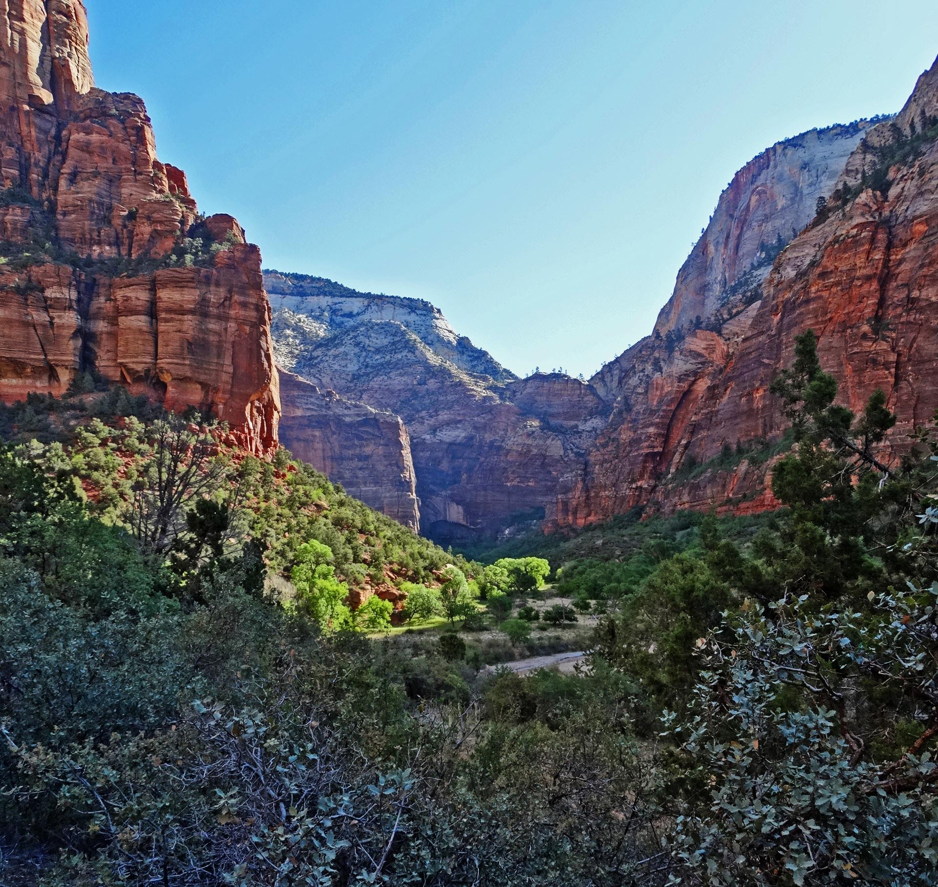 Canyon 5. Отель каньон Зайон. Домики каньон Зайон. Зайон 5. Кабинет Zion 5_Zion.jpg Zion.