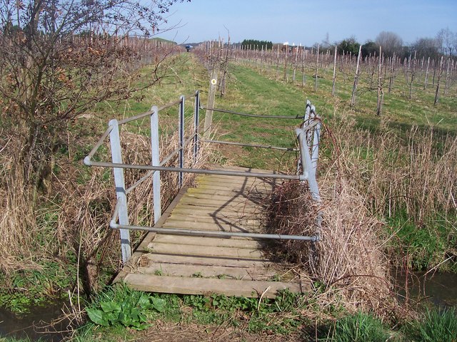 Footbridge on Greensand Way - geograph.org.uk - 1212194