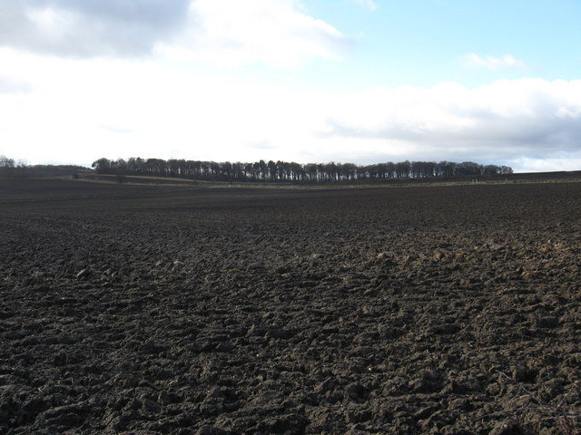 File:Freshly ploughed field - geograph.org.uk - 1173865.jpg