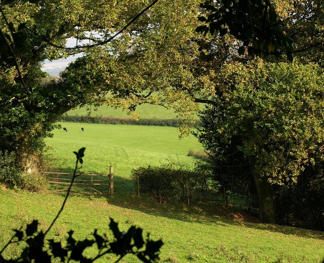 File:Gate between trees below Ramshorn Down - geograph.org.uk - 1012120.jpg