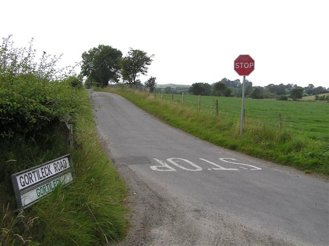 File:Gortileck Road, Donemana - geograph.org.uk - 206632.jpg