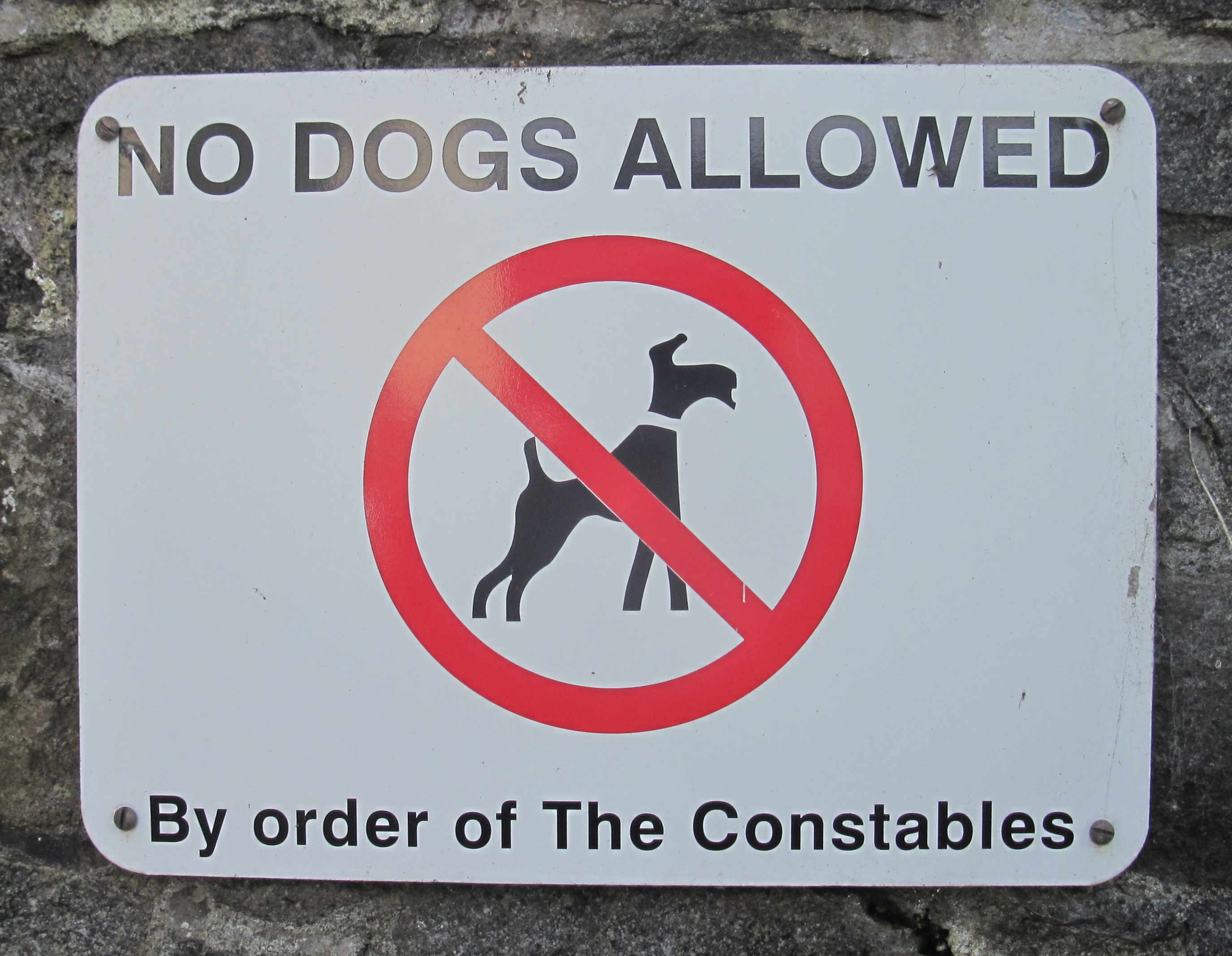 Dog sign. Not allowed Dog. No Dogs. No Dogs allowed in Russian.