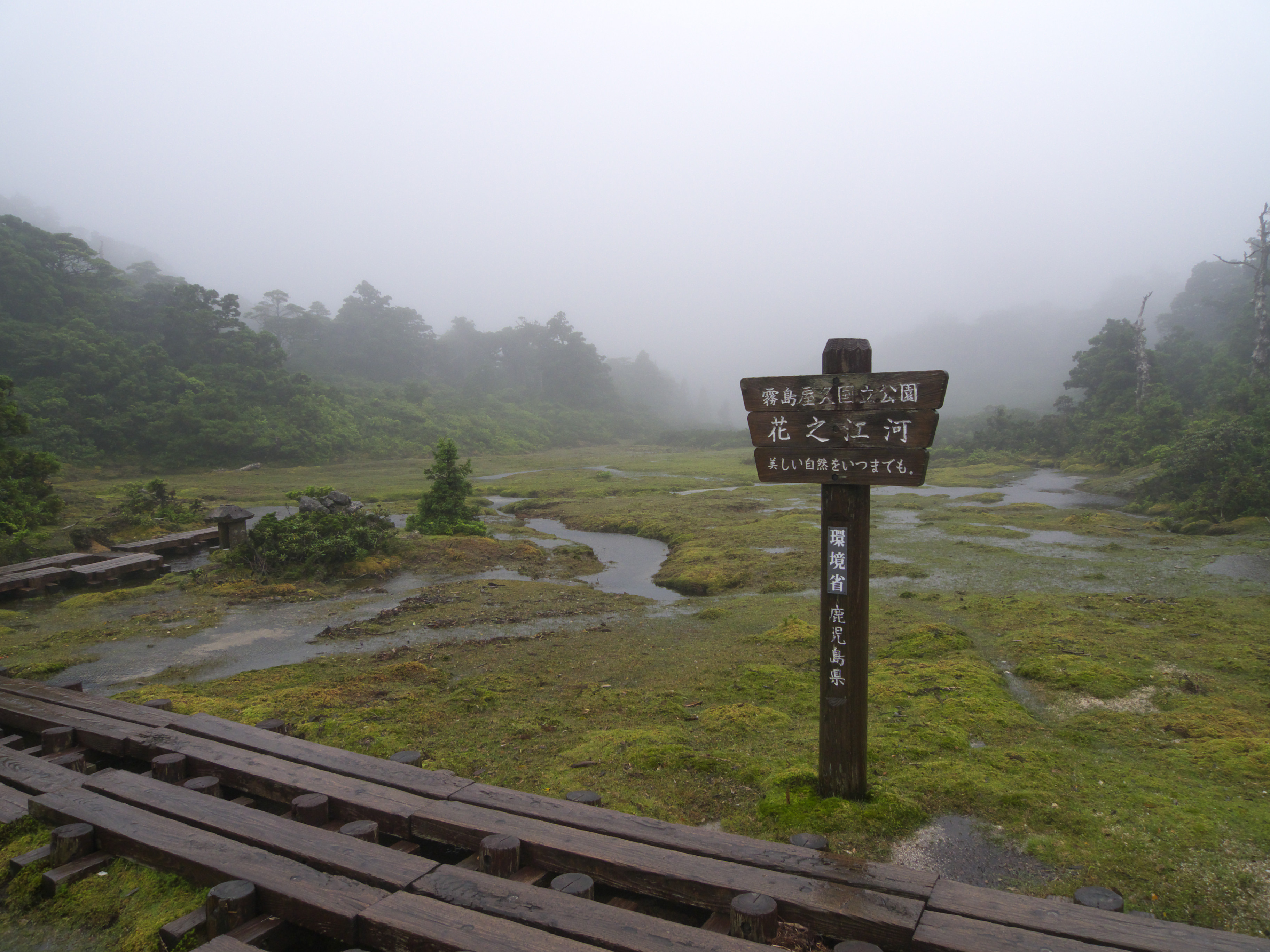 File Hananoego Wetland In Yakushima Jpg Wikimedia Commons