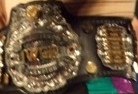 IWGP Junior Heavyweight