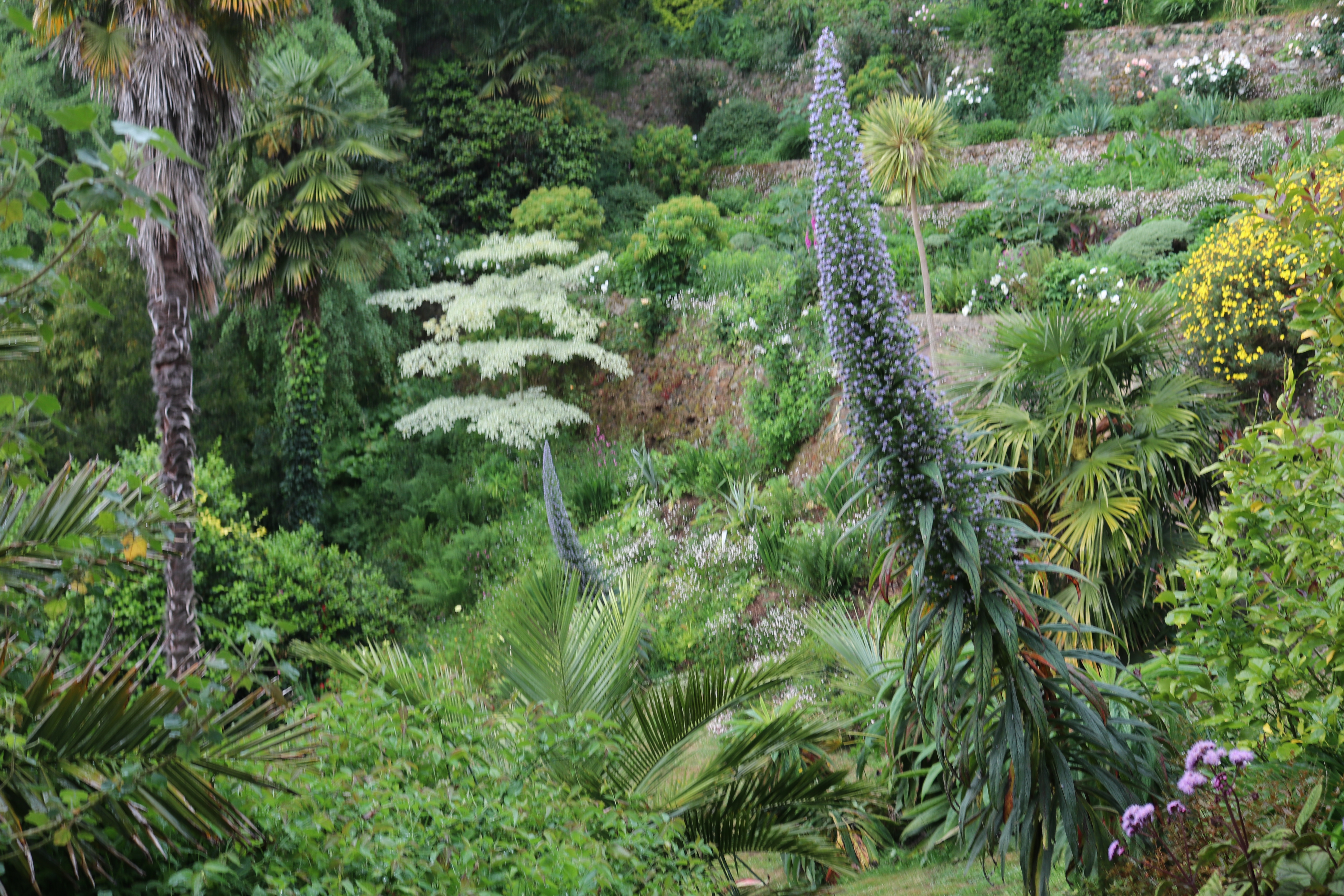 Les Jardins du Kestellic  France Bretagne Côtes-d'Armor Plouguiel 22220