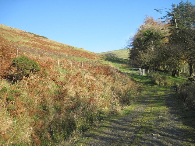 File:Junction in the track - geograph.org.uk - 1576892.jpg