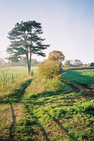 File:Looking up to Cookham Dean - geograph.org.uk - 82880.jpg