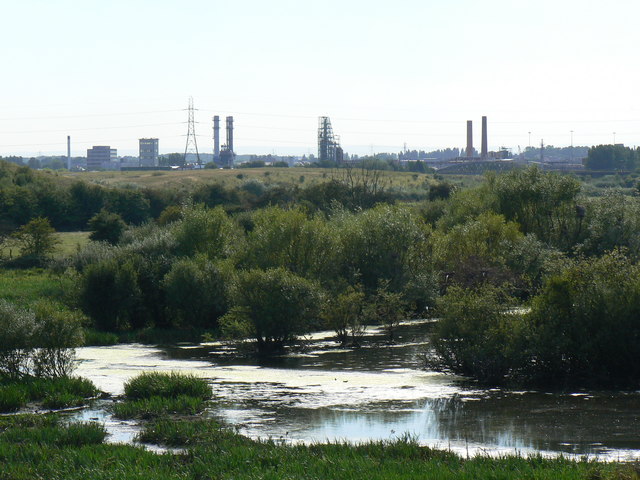 Newton Ings - geograph.org.uk - 547850