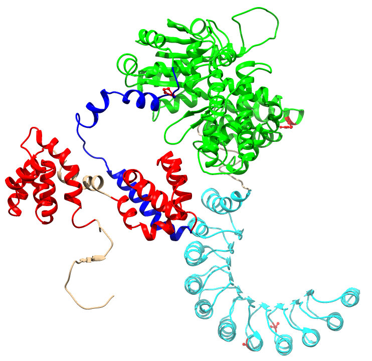 Домен red. Ген nod2. Proteins модели. Nod гены. Белок АПАФ 1.