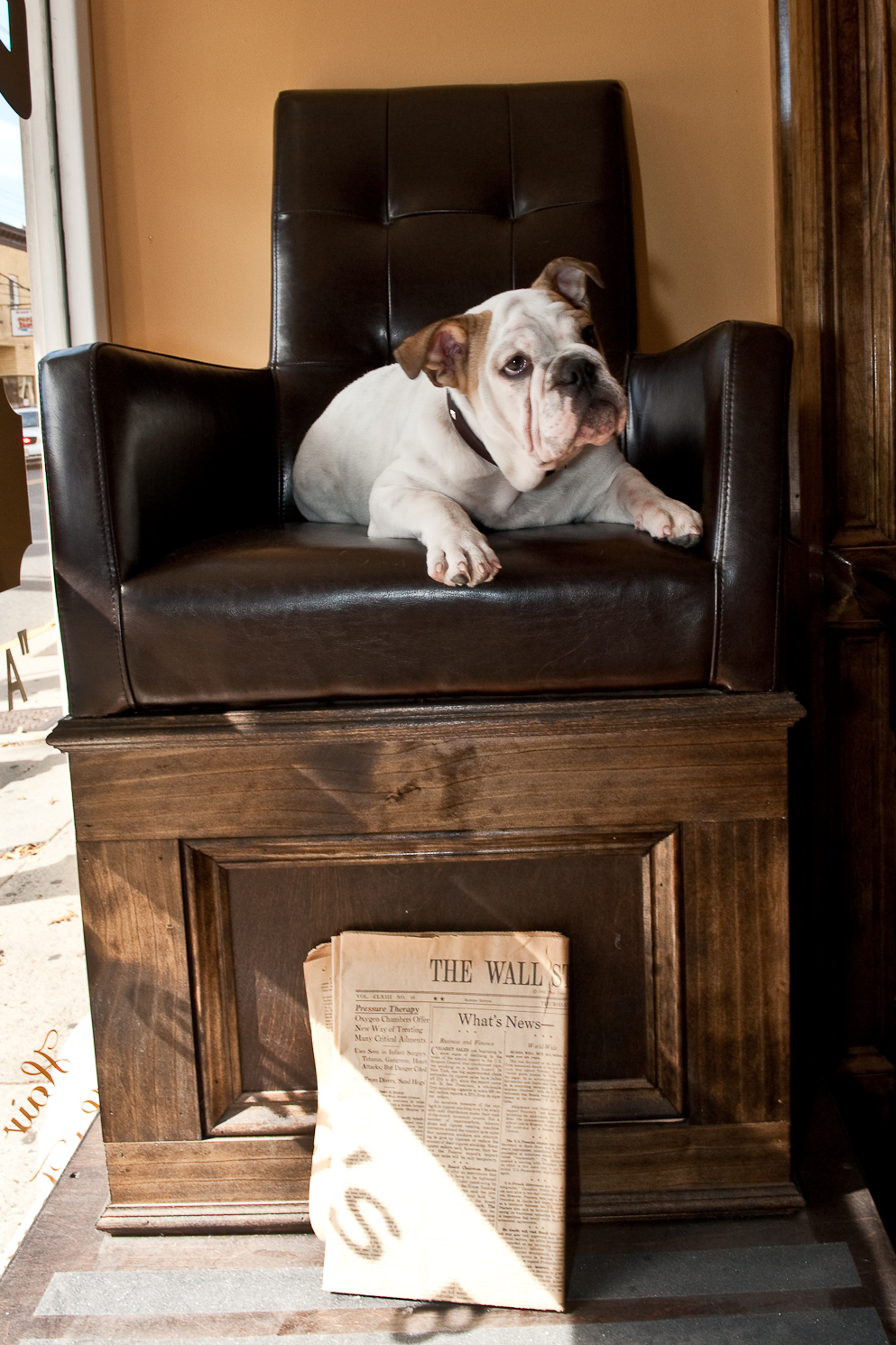 The Bulldog - The Living Room of the World