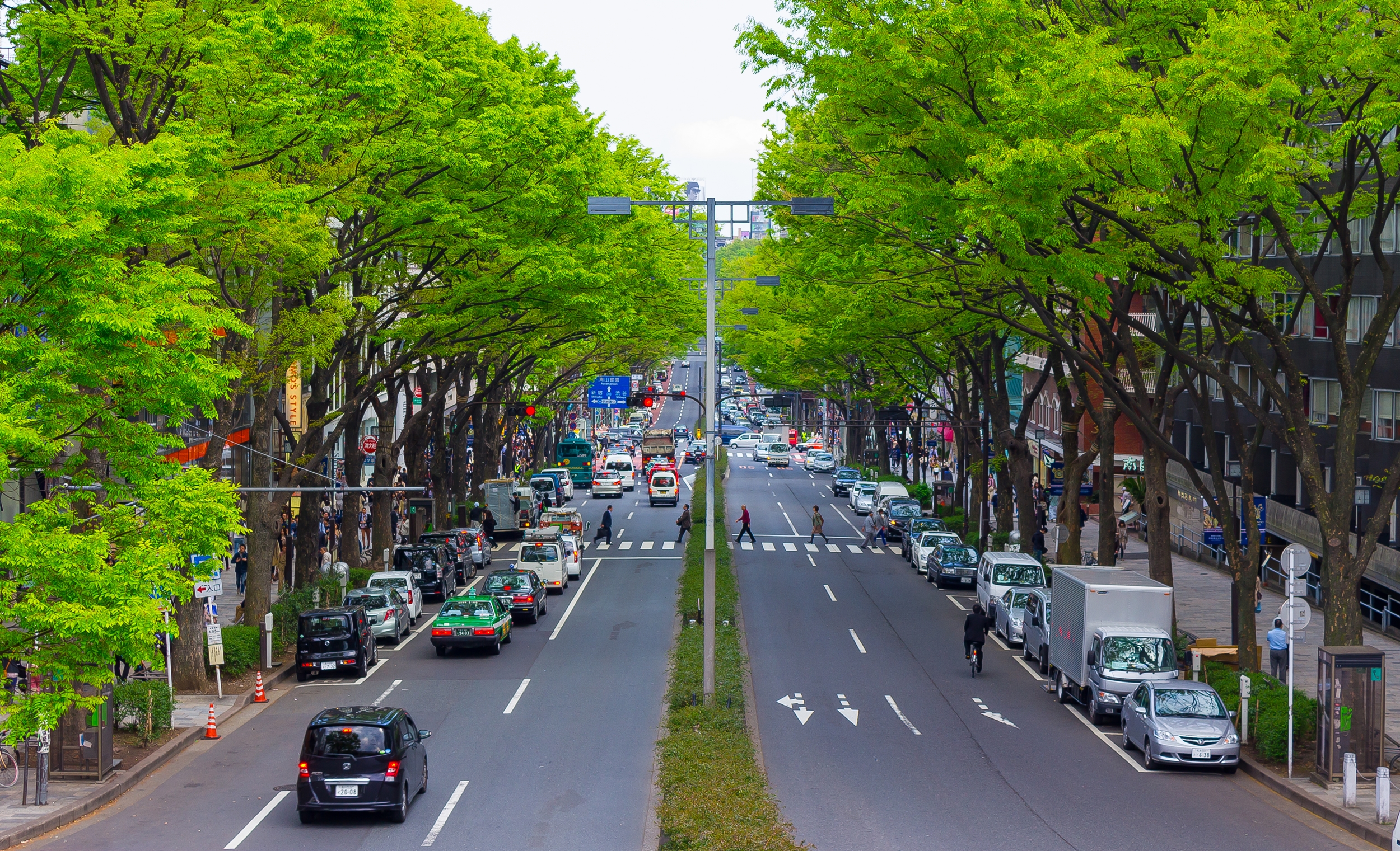 Japan,Tokyo,Omotesando,Louis Vuitton Store,Architect Jun Aoki