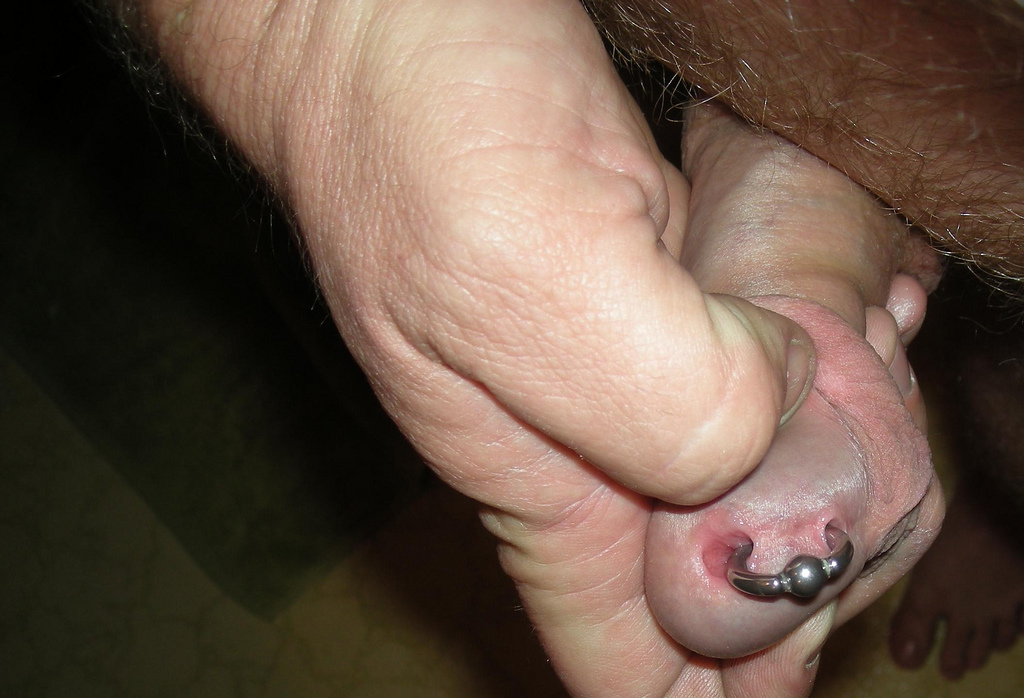 FilePrince Albert penis piercing.jpg pic