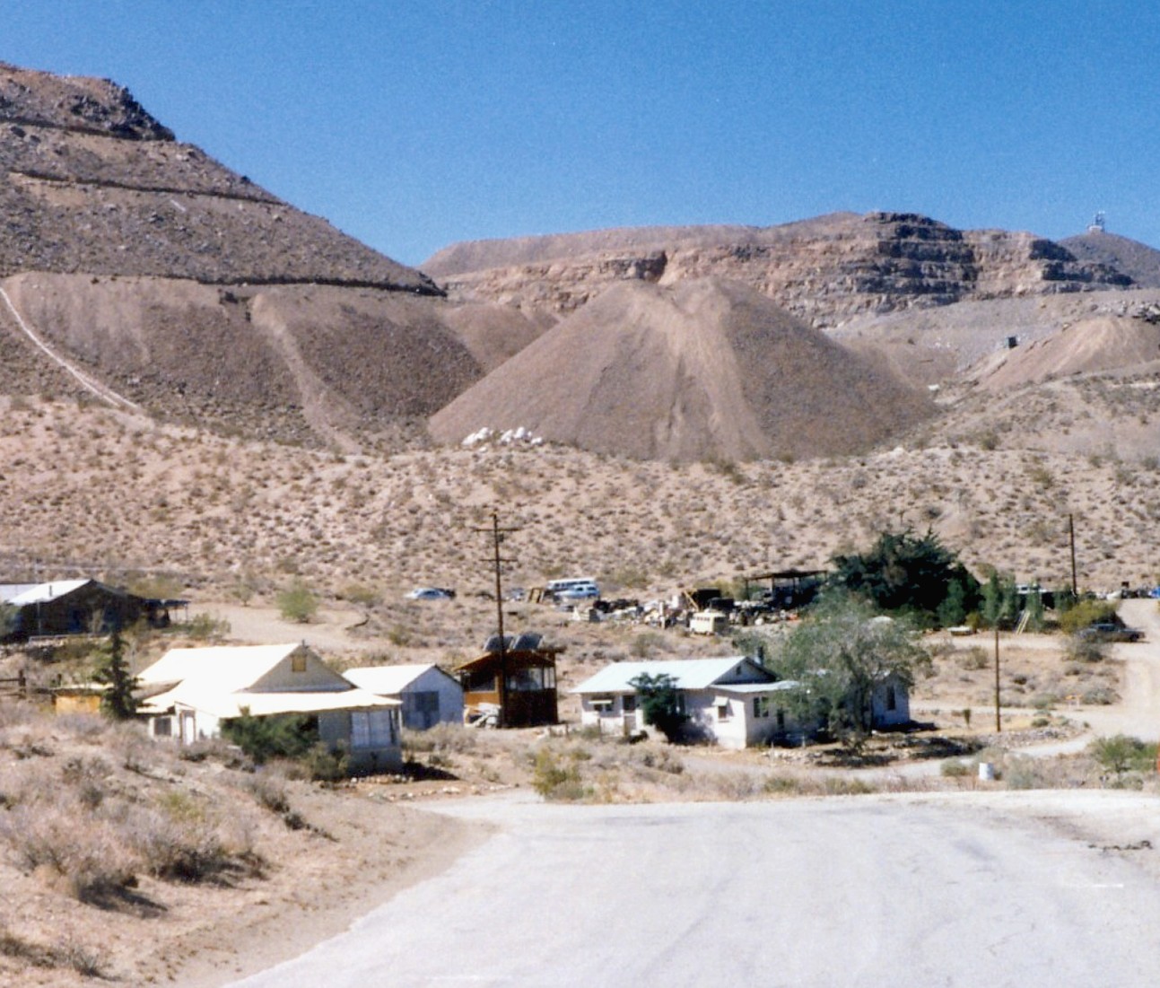 Yellow Aster Mine