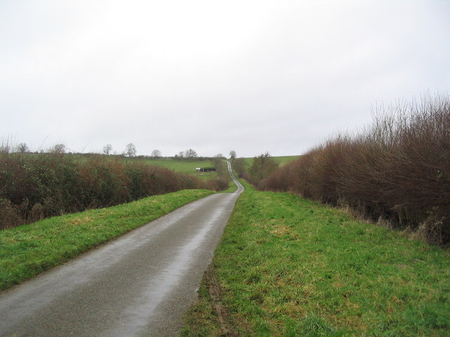 File:Road to Nevill Holt - geograph.org.uk - 307105.jpg