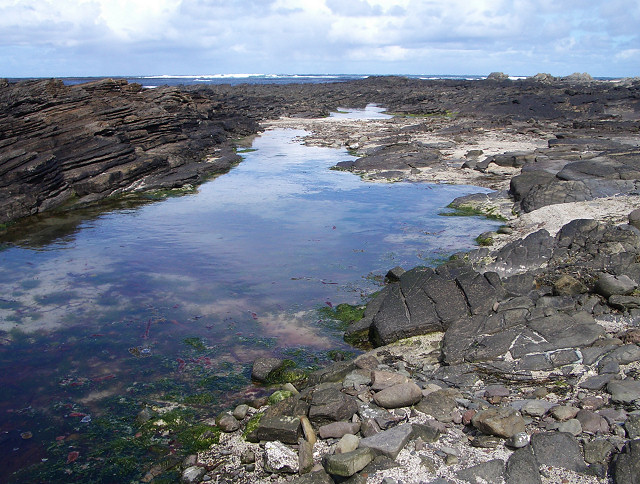 File:Rock pool near Garso Wick - geograph.org.uk - 177066.jpg