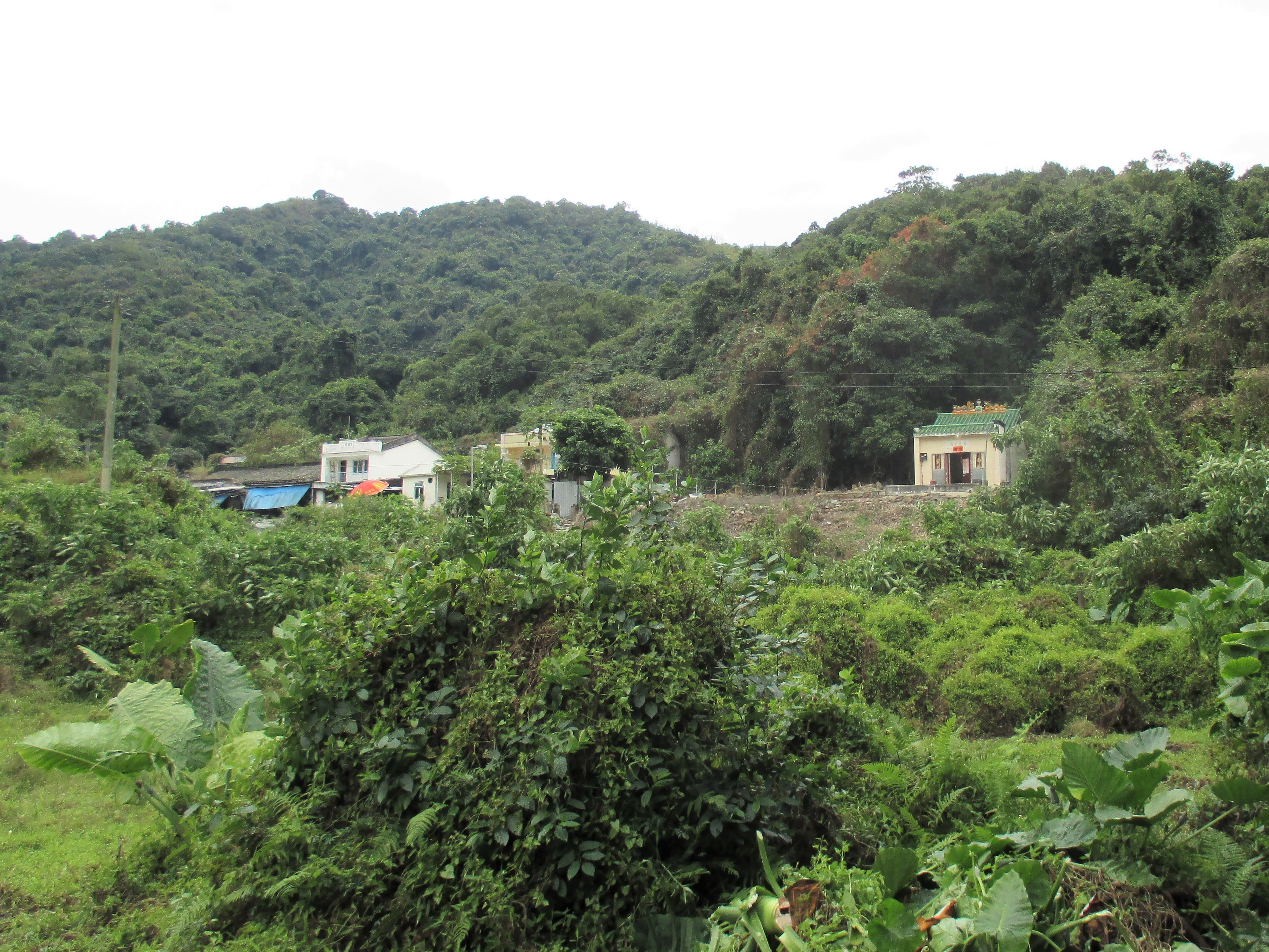 Sam A Tsuen, with the Tsang ancestral hall on the right