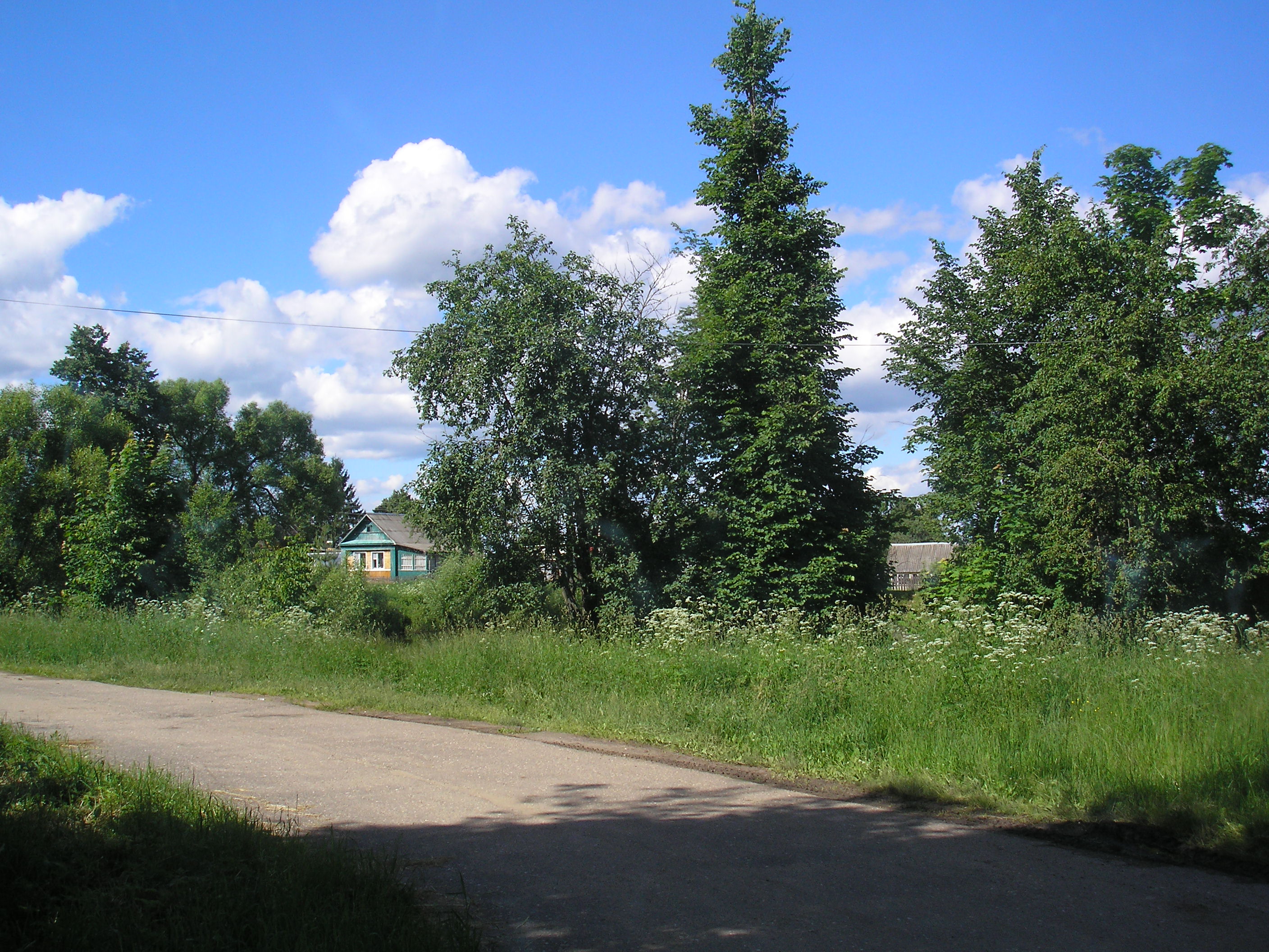 Погода в деревне синевая