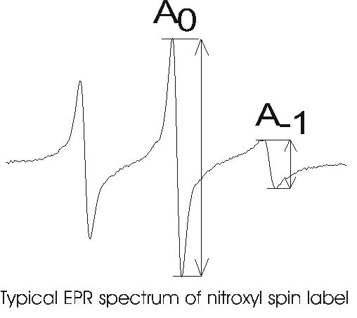 File:Spectrum.jpg