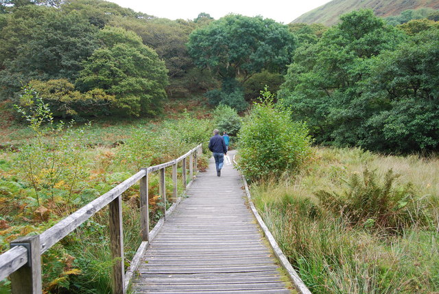 The way to the falls, Dolgoch - geograph.org.uk - 1517113