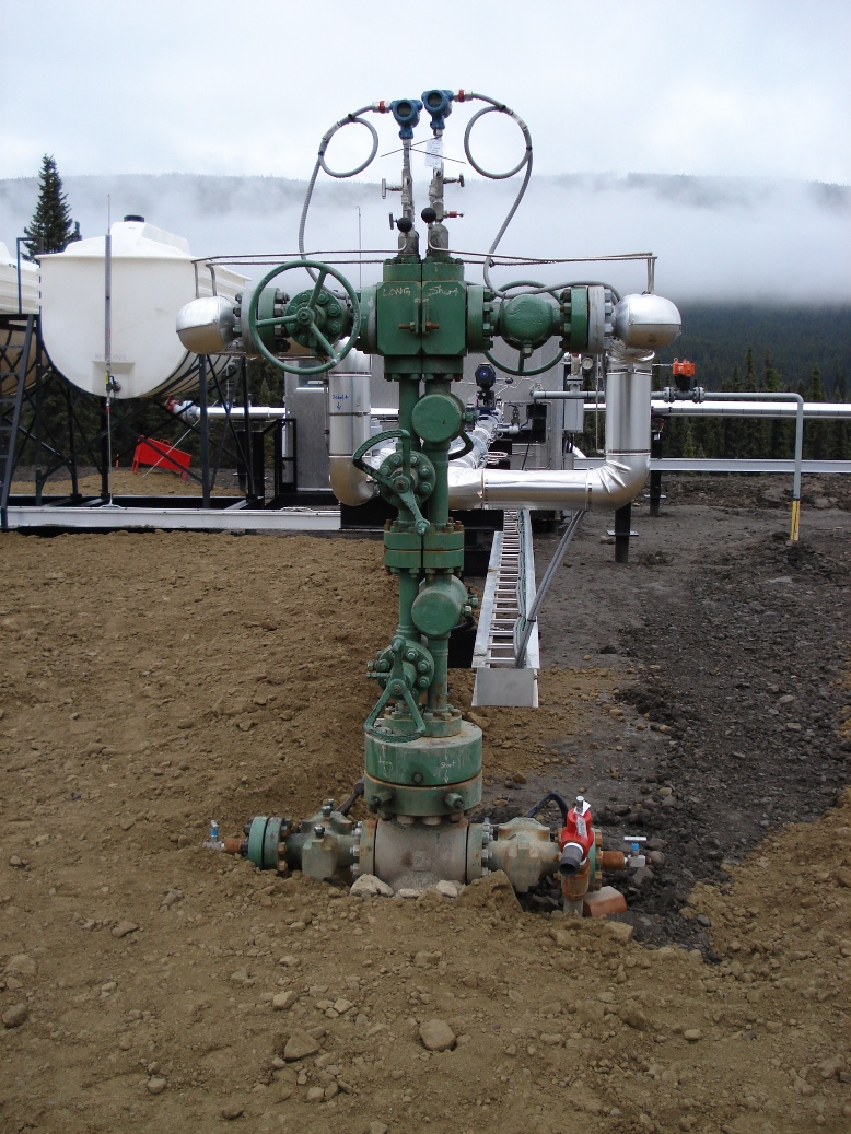 "Christmas tree" for a pressurised oil or gas well