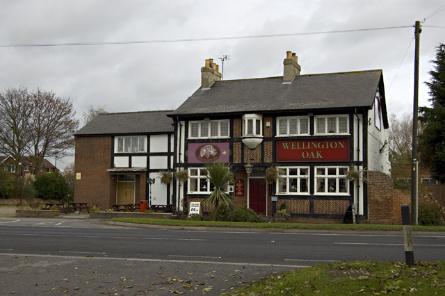 File:Wellington Oak, Pocklington - geograph.org.uk - 1569979.jpg