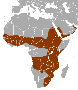 File:White-tailed Mongoose area.png