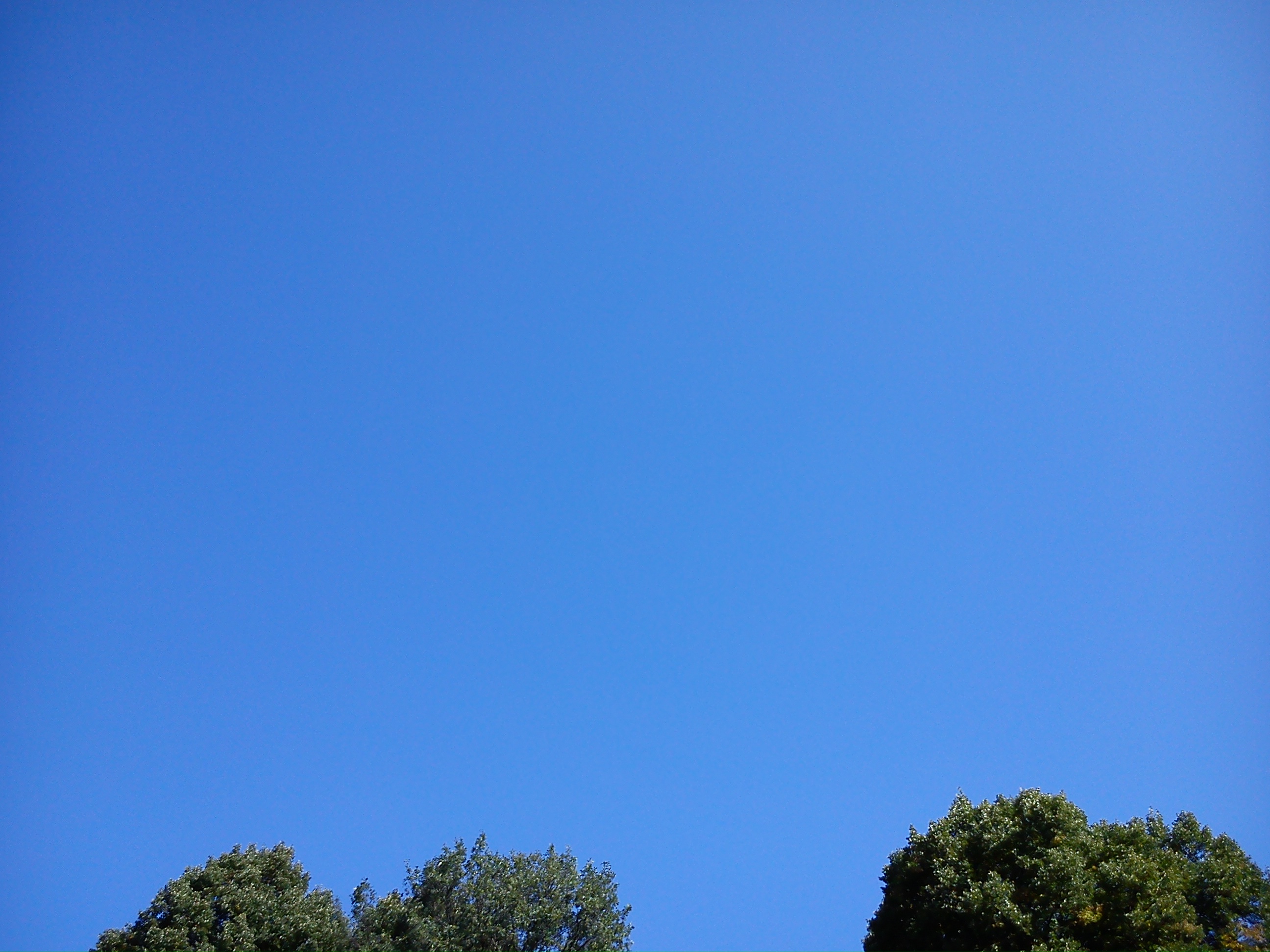 По бирюзовому небосклону бесконечно высокому. Чистое голубое небо. Ясное небо. Голубое безоблачное небо.