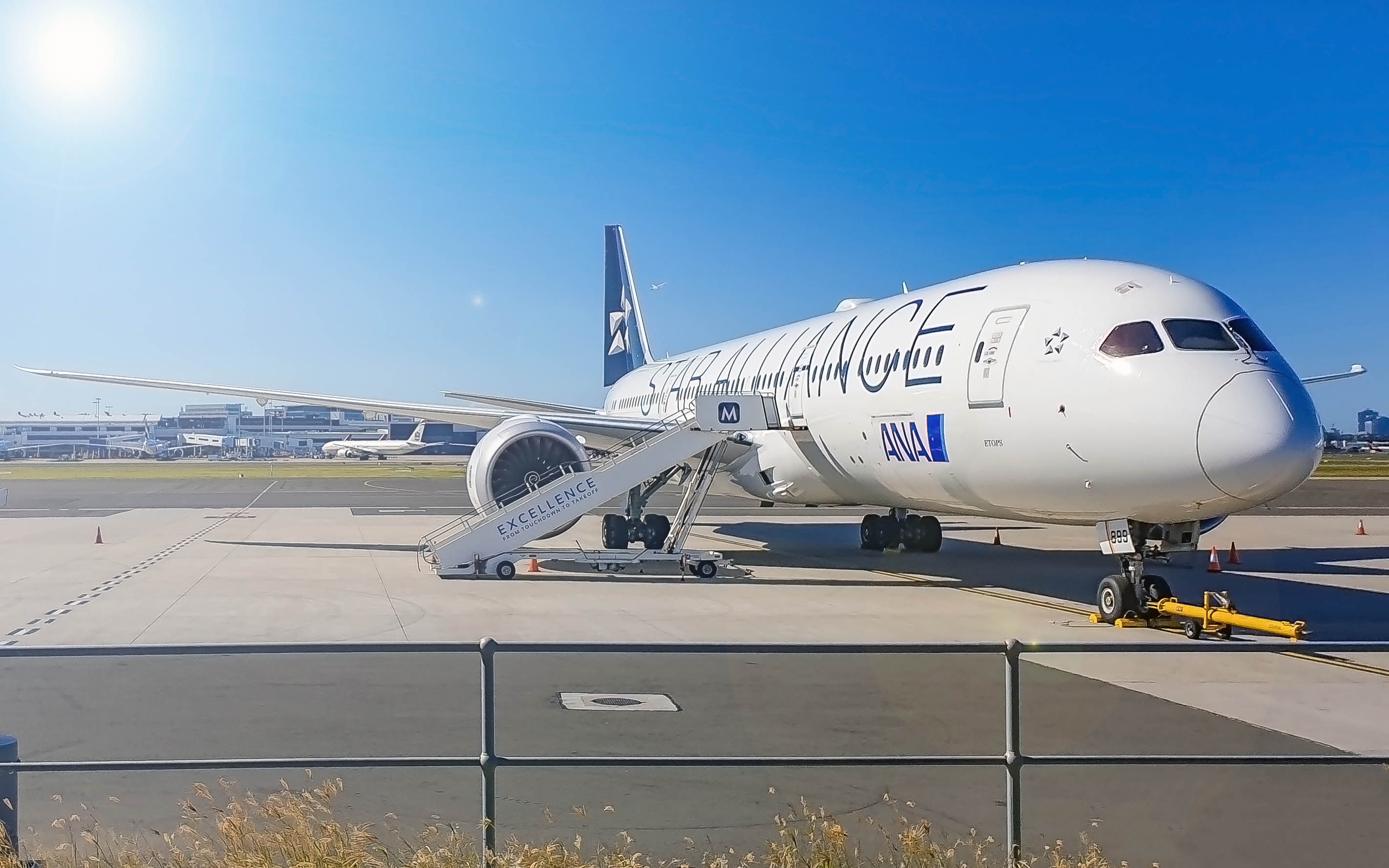 File:ANA Star Alliance Livery 787.png - Wikimedia Commons