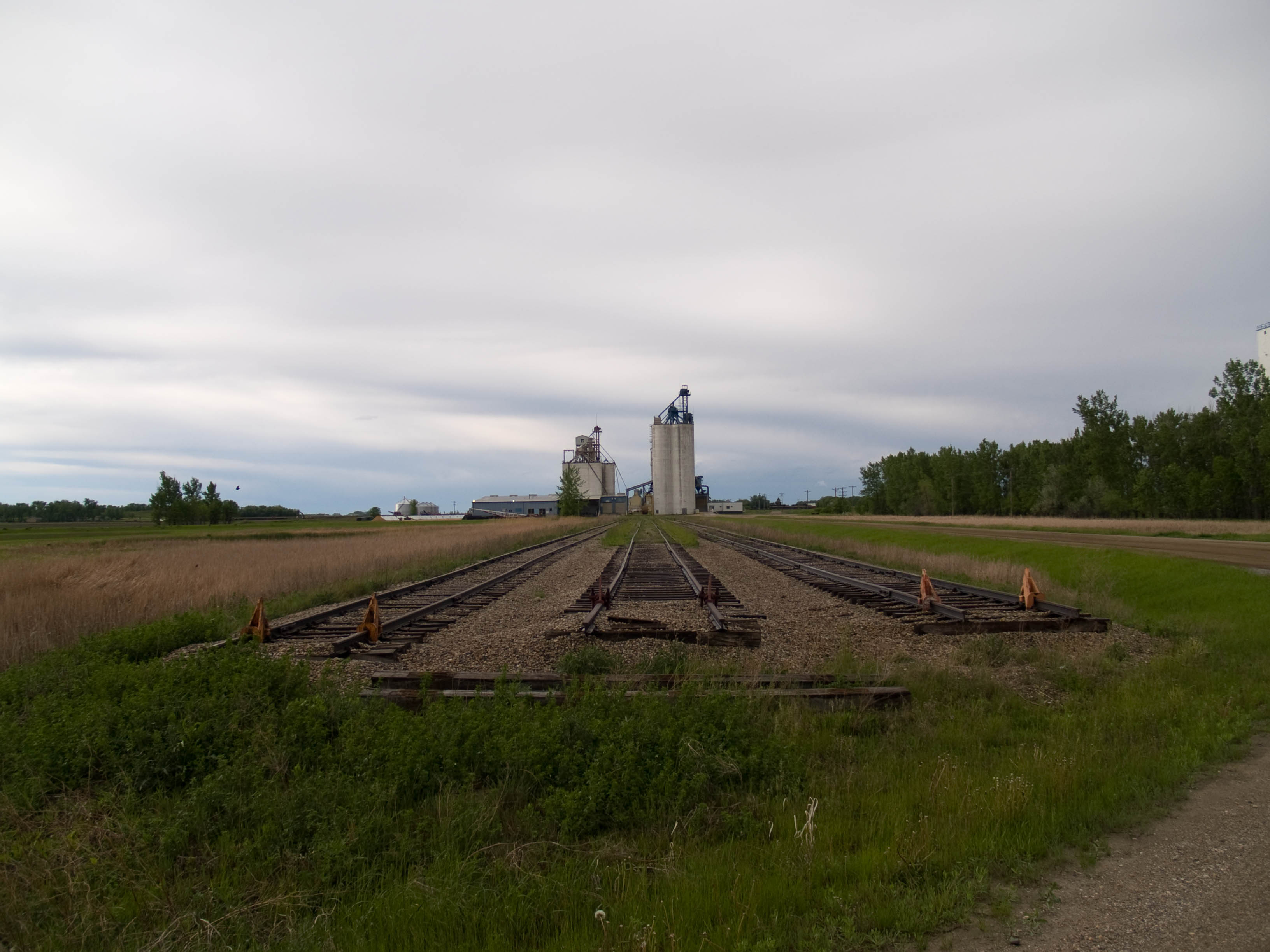File:Abandoned railroad tracks in Berea, North Dakota.jpg 