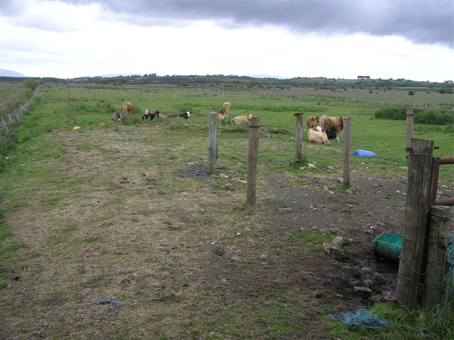 File:Ballygobbin Townland - geograph.org.uk - 848006.jpg