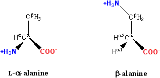 File:Beta alanine comparison.png