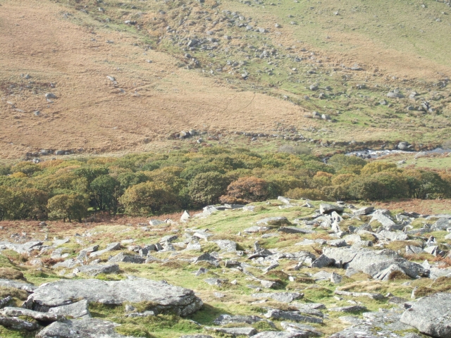 File:Black-a-tor-copse seen from Black Tor - geograph.org.uk - 2134680.jpg