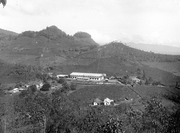 File:COLLECTIE TROPENMUSEUM Gezicht over theeplantage Pamegatan en omgeving TMnr 10026484.jpg