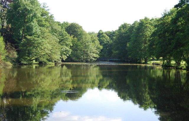 File:Chiddingstone Pond - geograph.org.uk - 4170605.jpg