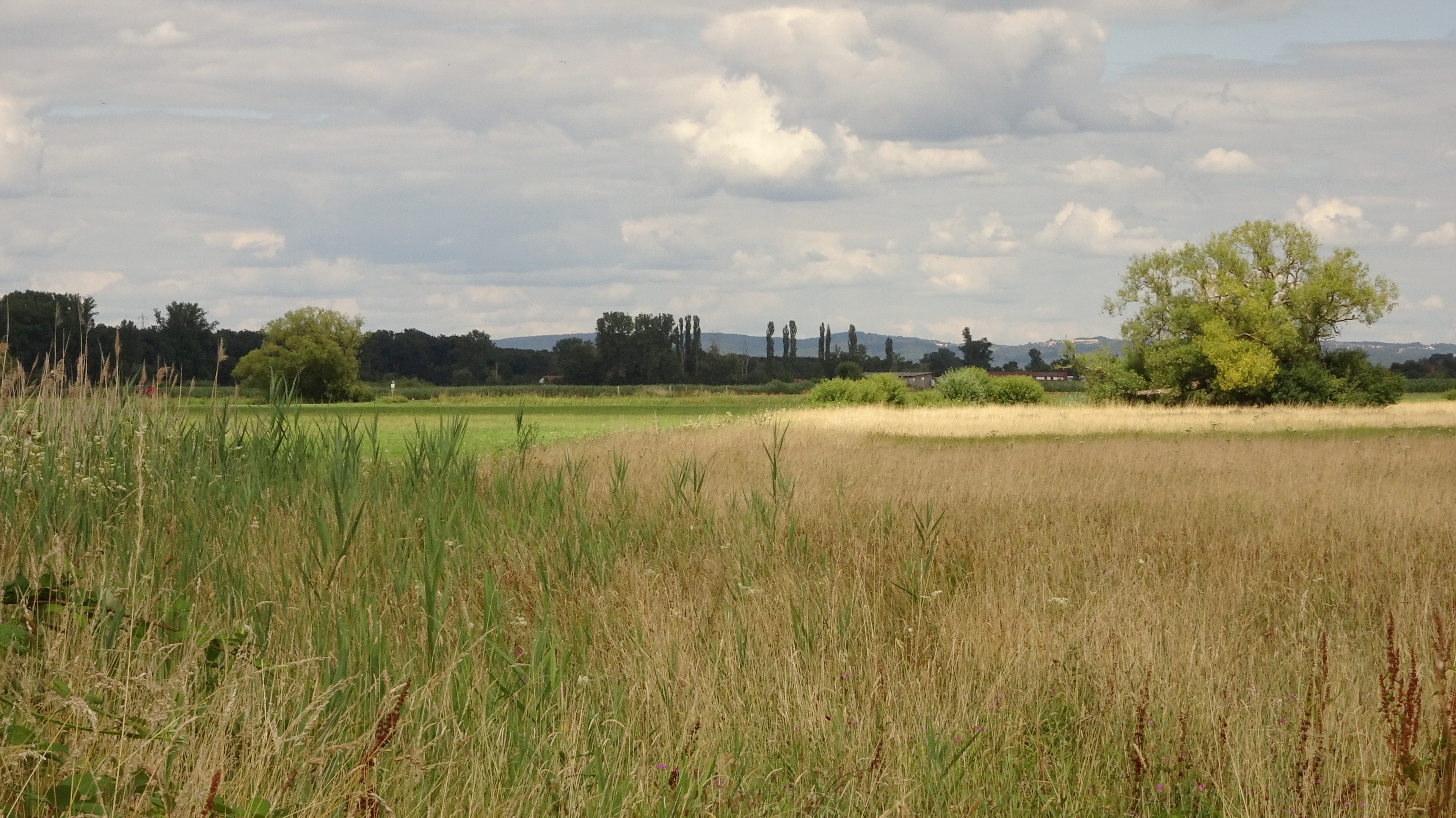 Protected area Die kleine Qualle von Hergershausen (Landkreis Darmstadt-Dieburg, Hesse, Germany).