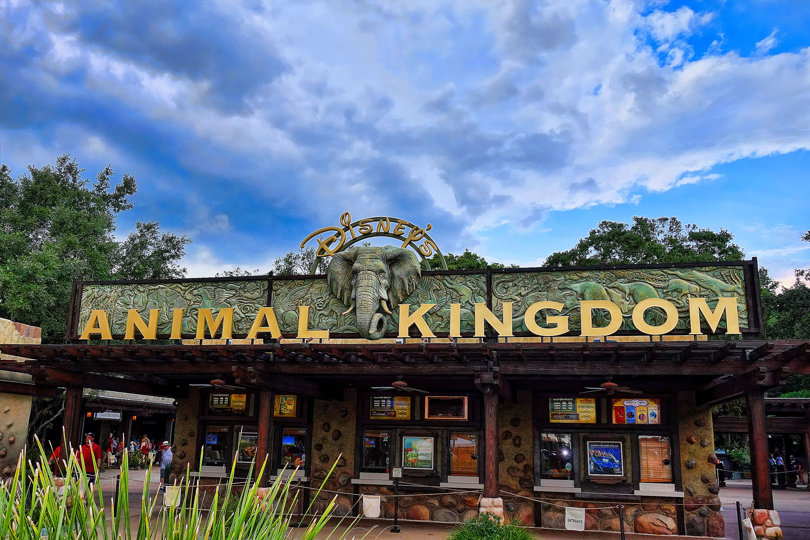 File:Disney Animal Kingdom (27766103142).jpg - Wikimedia Commons