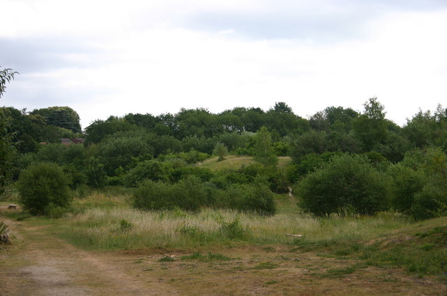 File:Ditton Quarry - geograph.org.uk - 293740.jpg