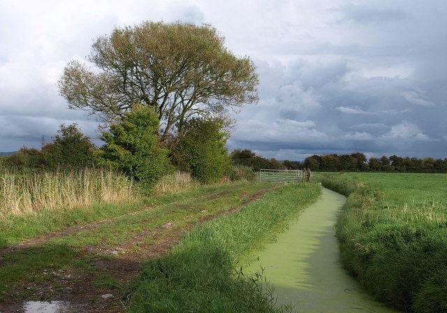 File:Drain by Wick Lane - geograph.org.uk - 2087595.jpg