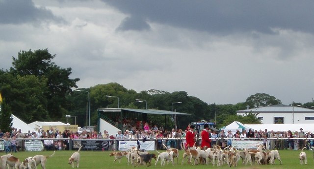 File:Driffield Show 2009 Main Ring - geograph.org.uk - 1412327.jpg